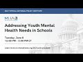 MHA's 2021 Policy Institute - Addressing Youth Mental Health Needs in Schools