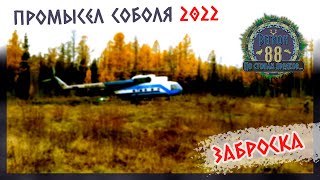 Регион 88 | Промысел соболя. Сезон 2022. Заброска