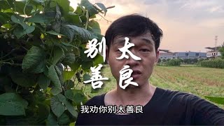 人善被人欺，马善被人骑，别太善良！