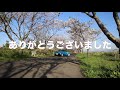 薬の説明が１−２割・世間話や悩み相談が８−９割で仕事をしていると言っていいのか（笑）