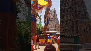 Paravaikavadi 🔥 | Karaikudi Sri lalitha MuthuMariyamman Kovil 2024| #viral #shorts #mariyamman #amma