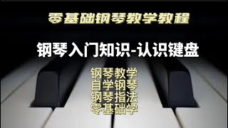 零基础学钢琴五线谱入门知识《认识键盘》#学钢琴指法#钢琴教程#自学钢琴#钢琴指法