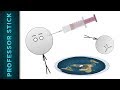 Flat Earth Anti-Vaxxer Creationist Says I'm an Idiot Flat Earth Anti-Vaxxer Creationist Says I'm an Idiot