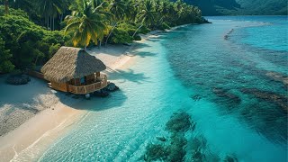 Tropical Beach Music with Beautiful Ocean Beach Views | Happy and Uplifting
