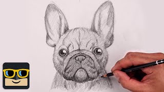 How To Draw a Dog | French Bulldog Sketch Tutorial