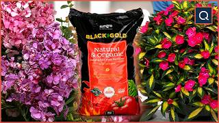 Find Out Why Gardeners Are Obsessed With This QVC Brand | Roberta's Unique Gardens