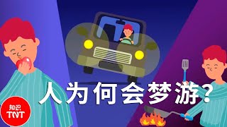 人为什么会梦游？叫醒梦游中的人会有什么后果？【知识TNT】