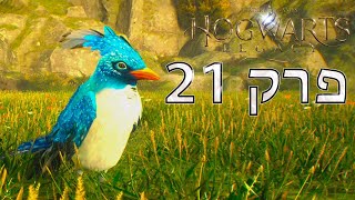 מורשת הוגוורטס תופס בעלי חיים Hogwarts Legacy פרק 21 ( ps 5 )