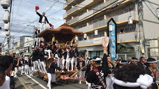 令和元年　堺だんじり祭り試験曳き(鳳・福泉) 旧石橋スポーツ前