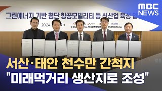 '천수만 간척지' 미래산업 중심지로 조성 (2024.03.12/뉴스데스크/대전MBC)