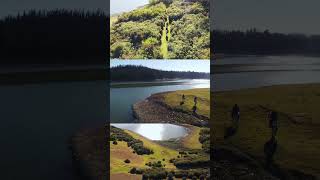 Nilgiri Horse Safaris at a Glance | Bird View | Drone Shot  #drone #nilgirihorsesafaris #ooty