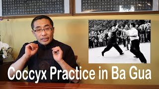 Internal Style Concepts (71): Coccyx Practice in Ba Gua