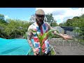 dave s allotment mid may update. planting out epic upcycling fail u0026 musical editing fun.