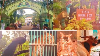 State museum and zoo Thrissur | Thrissur zoo