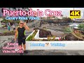 Tenerife 🏝️ Puerto de la Cruz Morning 🐕 Walking 6 August 2024 Teneriffa