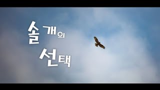 설교예화)솔개의선택(변화)