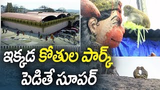 ఇక్కడ కోతుల పార్క్ పెడితే సూపర్ | Jagtial District | ABN Telugu