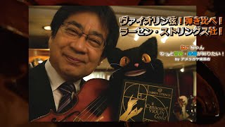 【ヴァイオリン弦！弾き比べ！ラーセン・ストリングス社！】ねこちゃんもっと音楽・楽器が知りたい！029 [Larsen Strings] [Original] [Il Cannone Gold]