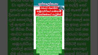 රජයට එරෙහිව කඹුරුපිටියේ සාමකාමී උද්ඝෝෂණයේ ගැටුමක්Kamburupitiya against the government #news #thanews