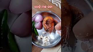 ମାମୁଁ ଘରେ ପଖାଳ କୁ ମାଛ ଭଜା 🐟ଜମିଗଲା #srikantmaharana blogs#cooking #viral shorts video