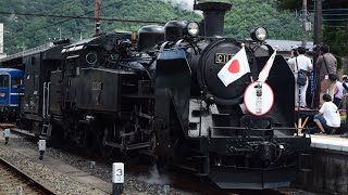 『C11207＋ヨ8634＋14系客車＋DE10-1099・快速 SL大樹2号』2018/8/10(東武鉄道[東武鬼怒川線]・鬼怒川温泉駅 入線！)‬ ※ＳＬ大樹運行開始1周年！