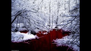 Breaking Benjamin - Red Cold River [Lyrics Video]