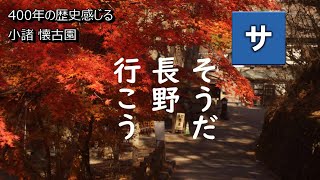 【信州小諸長野観光】懐古園で紅葉写真を撮るカメラ旅【一眼レフデジカメコンデジおすすめお城スポット宿泊ホテル情報】撮影撮り方方法設定NAGANOjapanKOMORO