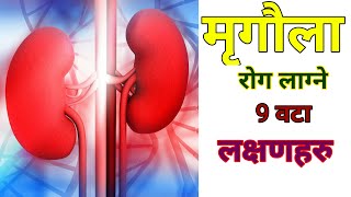 किड्नी रोग लाग्ने लक्षण र बाच्ने उपायहरु । symptoms of kidney problem । Nepali Health Tips