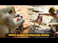 The baby monkey refused to be weaned, so the mother monkey taught the baby monkey a lesson