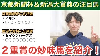 【2023京都新聞杯＆新潟大賞典】２重賞の妙味ある馬たちを一挙ご紹介！