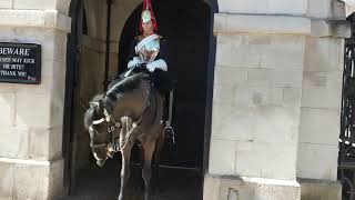 バッキンガム宮殿騎馬警官