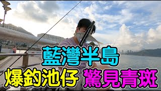 【小物篇】 爆釣池仔｜驚見青斑｜微釣人