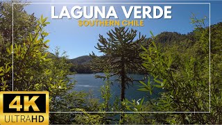 Lake at the HEART of the Andes - Araucaria | Relaxing Music to Calm the Mind 4K (ULTRA HD)