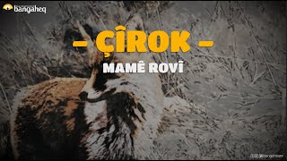 Çîrok | Mamê Rovî