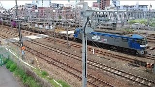 EF210-169号機【桃太郎】　東海道本線