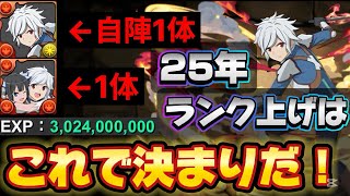 【明日20時から降臨‼️】【🚨組みやすい最新テンプレ‼️】十億ゲリラをベルで快適周回しよう‼️（ベルクラネル、GA文庫、ランク上げ、十億チャレンジ、未知の新星ラッシュ）【パズドラ】