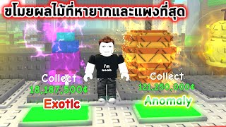 ขโมยผลไม้ที่แพงและหายากที่สุด Roblox Steal Grow a Garden Fruit
