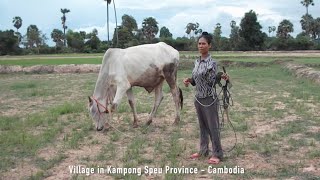 Hometown Village in Kampong Speu Province of Cambodia