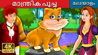 മാന്ത്രിക പൂച്ച  | The Magical Kitty Story in Malayalam | Malayalam Cartoon | @MalayalamFairyTales