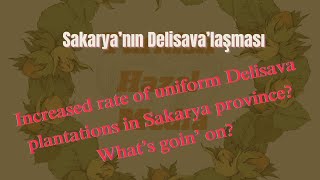 What is Delisava Hazelnut and why this variety is becoming more prominent in Sakarya Region?