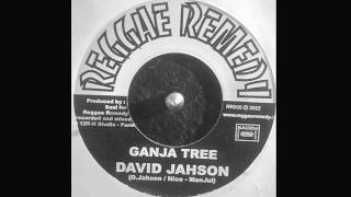 David Jahson - Ganja Tree \u0026 R' version (Reggae Remedy 2002 - 7\