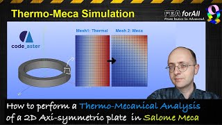 [Salome Meca Tutorial] Thermo Mechanical Analysis of a 2D Axisymmetric plate