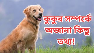 কুকুর সম্পর্কে অজানা কিছু তথ্য | Some unknown facts about dogs | ছায়াপথ