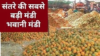 Orange Market in India । देश की सबसे बड़ी संतरे की मंडी,भवानीमंडी । भवानीमंडी का प्रसिद्ध संतरा।