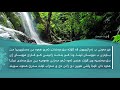 ته فسيرا سوره تا الشُّعَرَاء