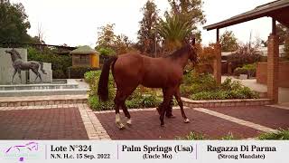 Lote 324 N.N.H. Palm Springs - Ragazza Di Parma