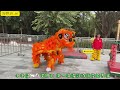 lion dance acrobatic orange lion dance perform 醒狮表演见者好运见者发财 醒狮文化 非遗文化 高桩醒狮