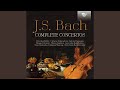 Violin Concerto in G Minor, BWV 1056: II. Largo