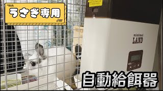 【自動給餌器②】うさぎ専用の自動餌やり器をわたげのケージに取り付けてみた♪