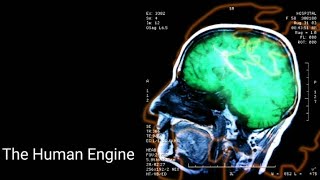 Jamie West-Oram - the human engine